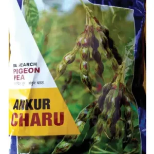 TUR CHARU 1 KG